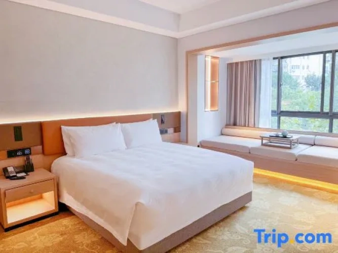 Superior Double Suite