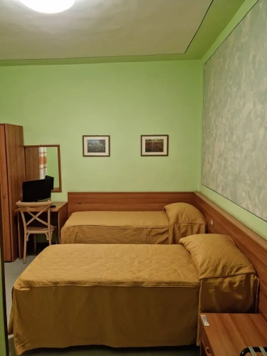 Economy Twin room