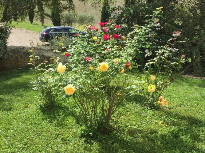 Romantico Cottage