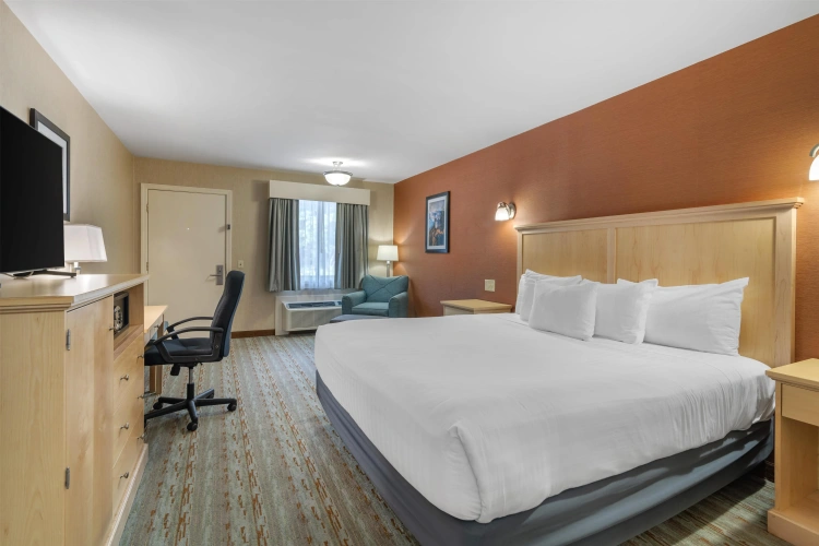 Standard Double room