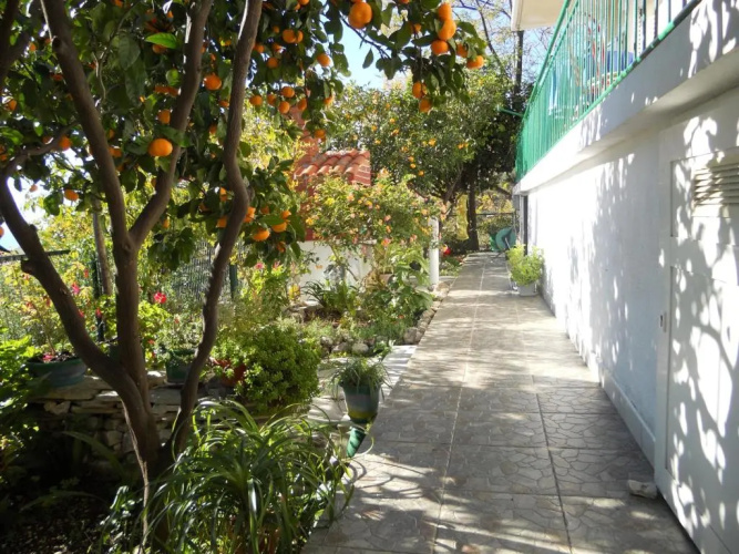 Apartment Matilija