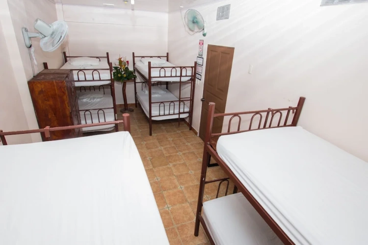 Bed in Dorm