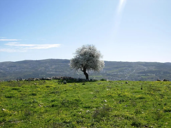 Ajloun Hotel