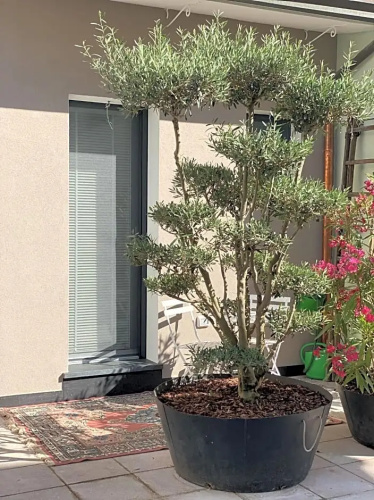 Ca' Squero911 Luxury Rooms