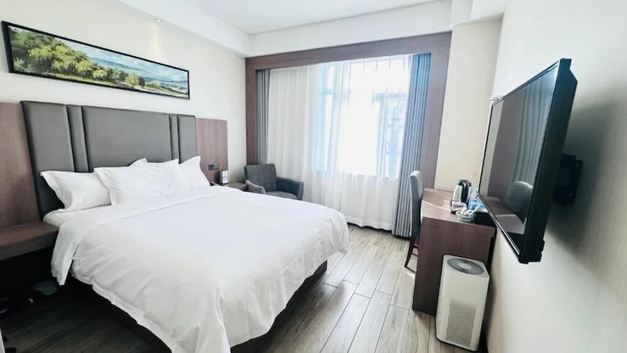 Comfort Single room