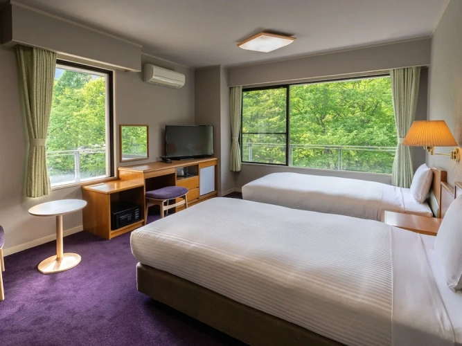 Superior Twin room