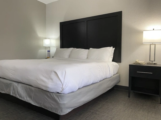 Deluxe Double Suite
