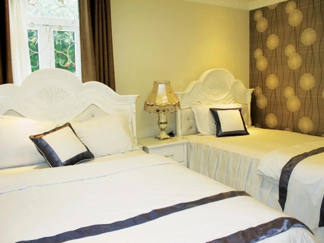 Twin Suite