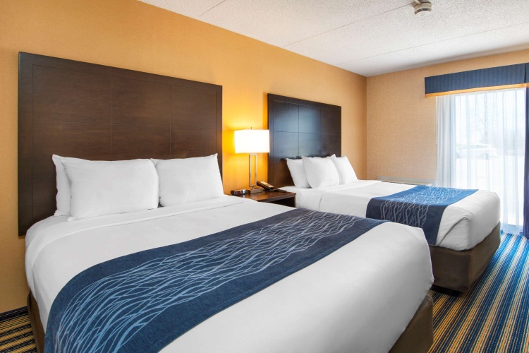 Comfort Inn photo 8