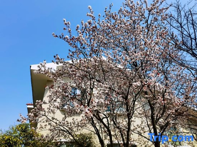Outside