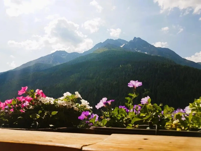1 Bedroom Apartment with balcony