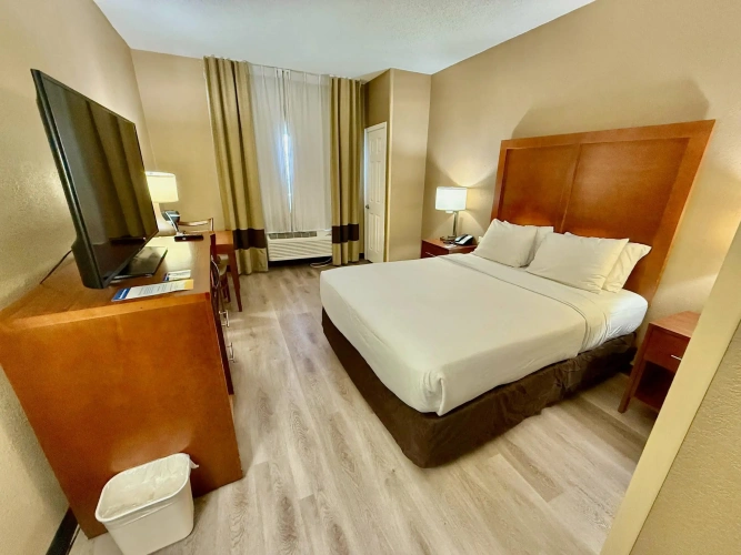 Standard Double room