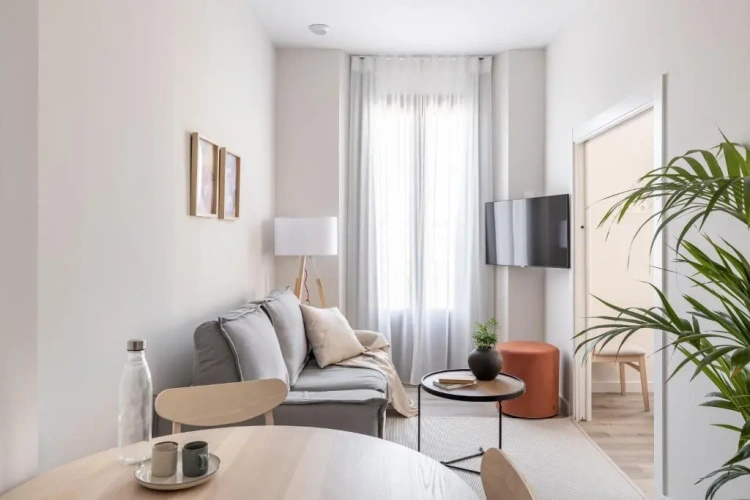 1 Bedroom Apartment