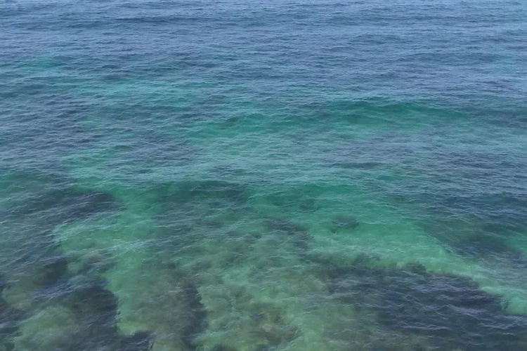 Peniche Nature and Beach Flat