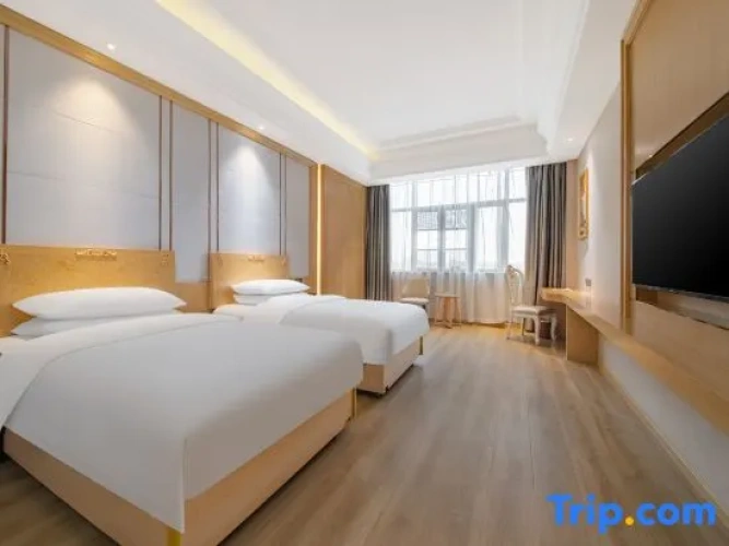 Deluxe Double room with street view
