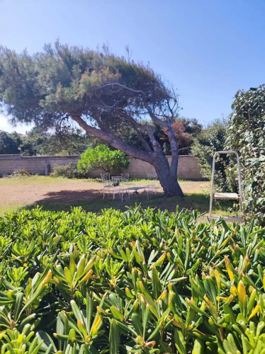 Villa sul Mare