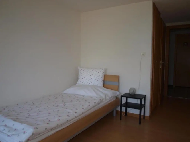 Standard Double room with balcony and with view