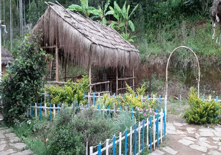 Kerala Wild Stay