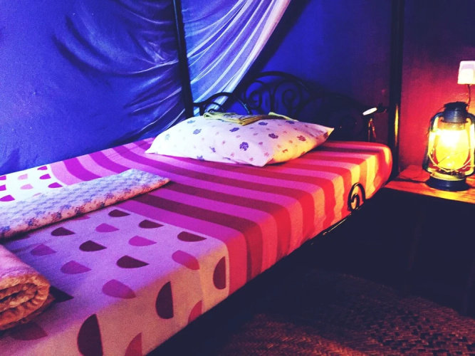 Banana Farm Hostel