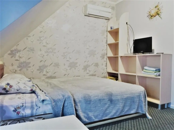 Standard Double room with garden view