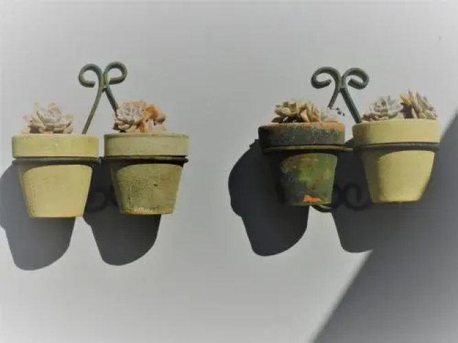 Three Small Trees