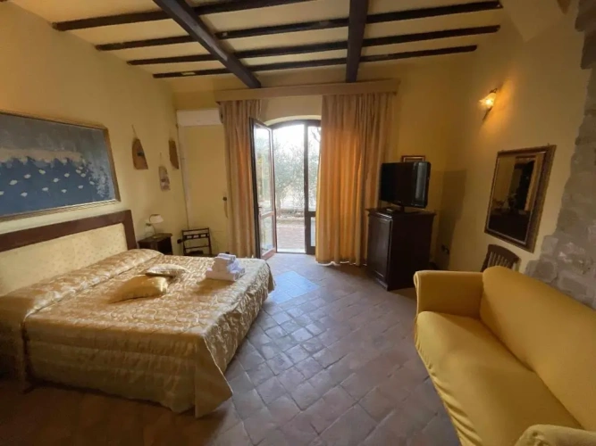 Deluxe Double room with view