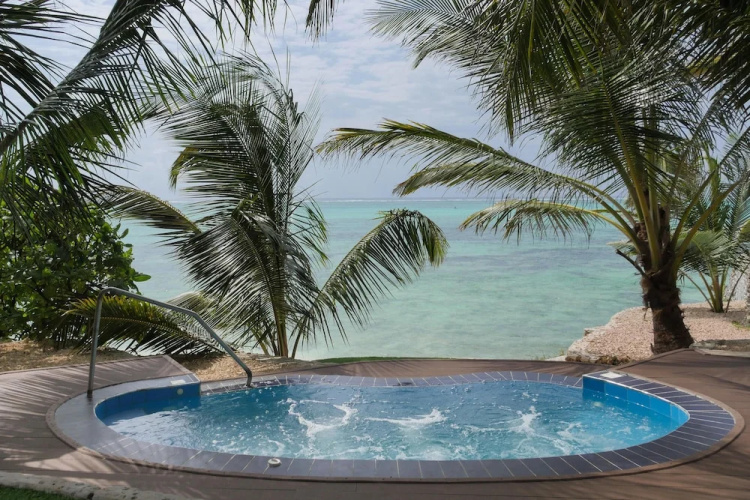 Villa Fleur de Lys - Sleeps 24 - Pool - Hot Tub
