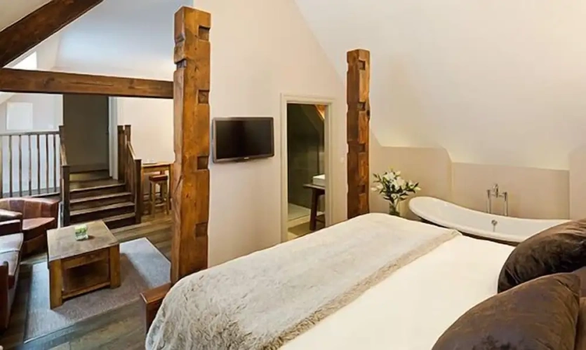 Single Suite
