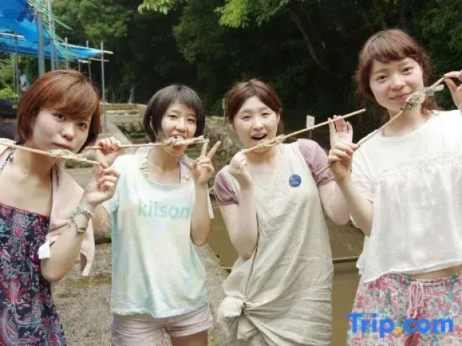 Farm Resort Awanowa