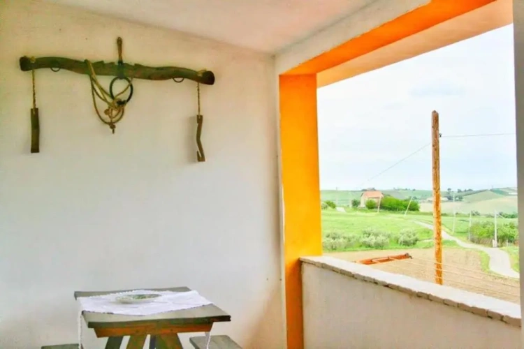 1 Bedroom Apartment with view