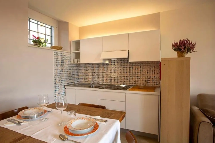 Basement Apartment