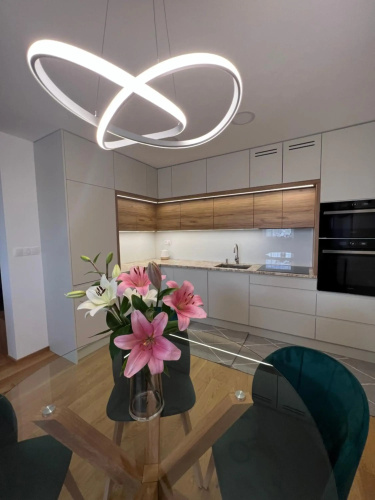 Downtown apartment Darinka