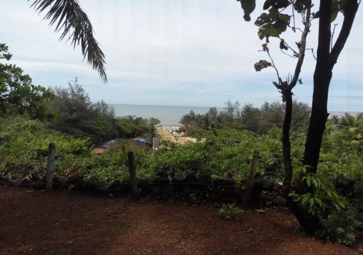 Agonda Dream View
