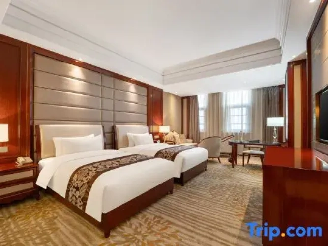 Executive Twin room