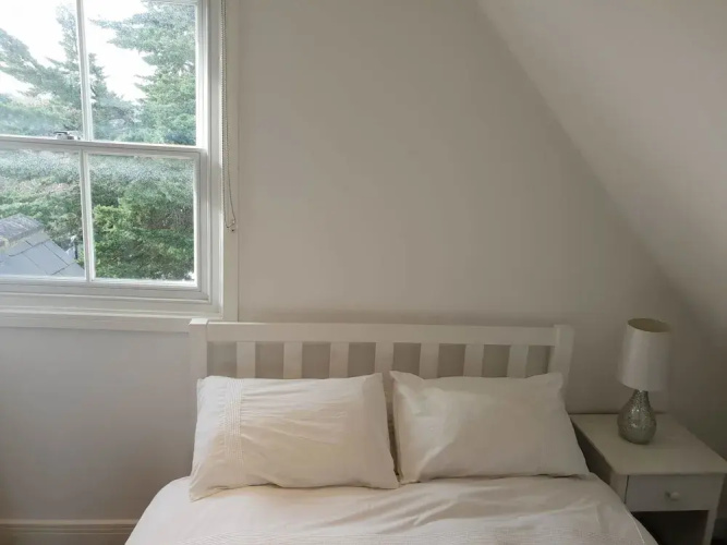 Central Windsor Apartments