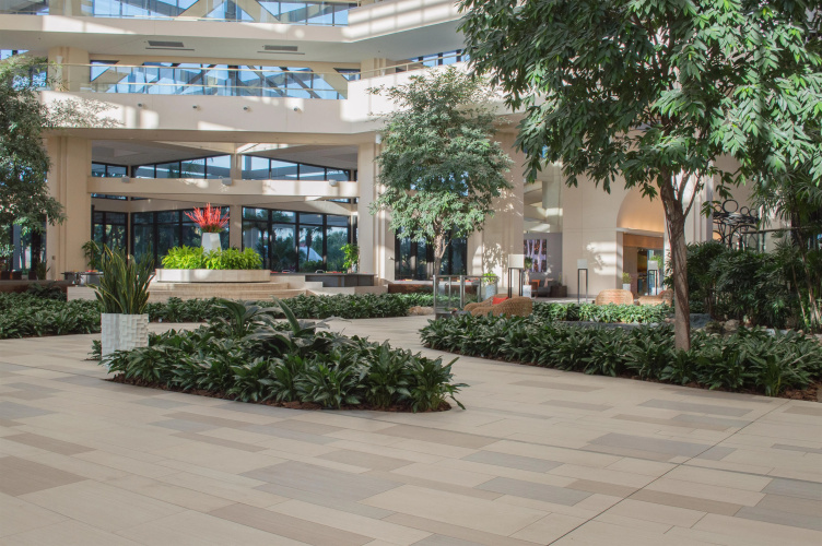 Hyatt Regency Grand Cypress Resort photo 31