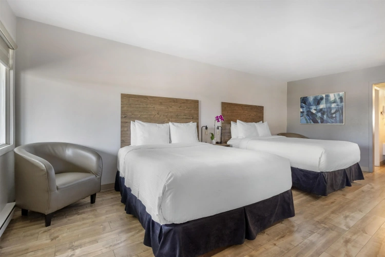 Quadruple Suite