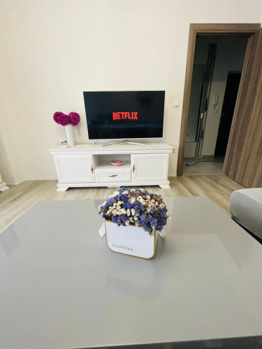 Apartment Iva