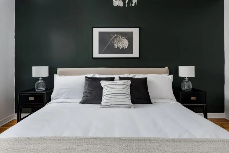 Chic 1BR in Plateau