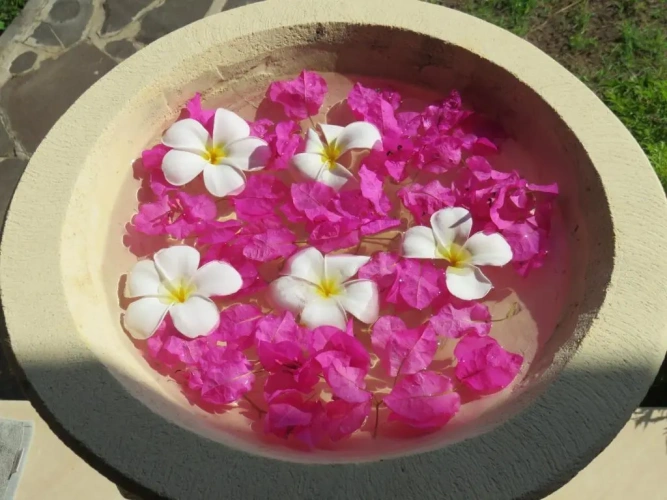 Bungalow with garden view
