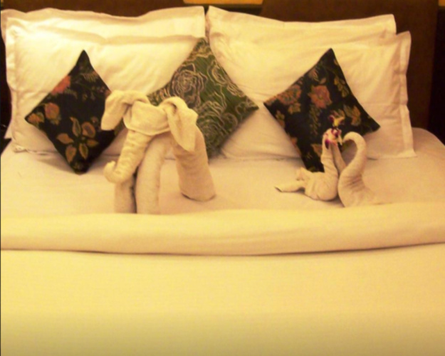Premium Single room