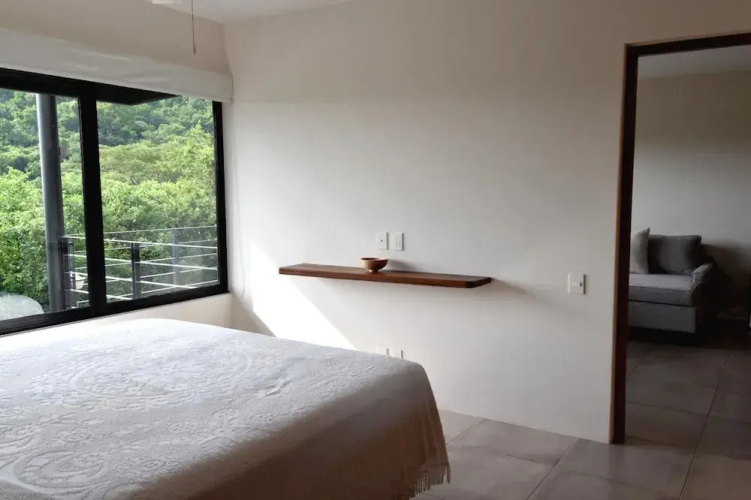 Agaves 203