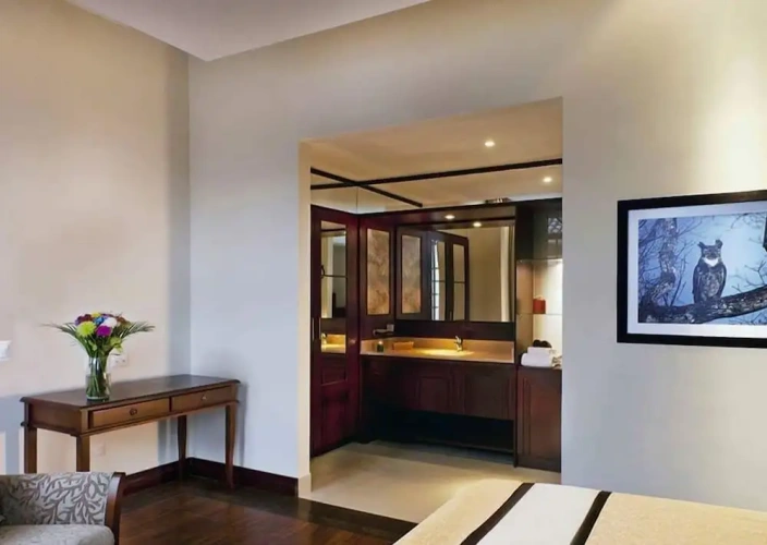 1 Bedroom Deluxe Suite with city view