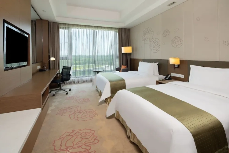 Standard Twin Club room