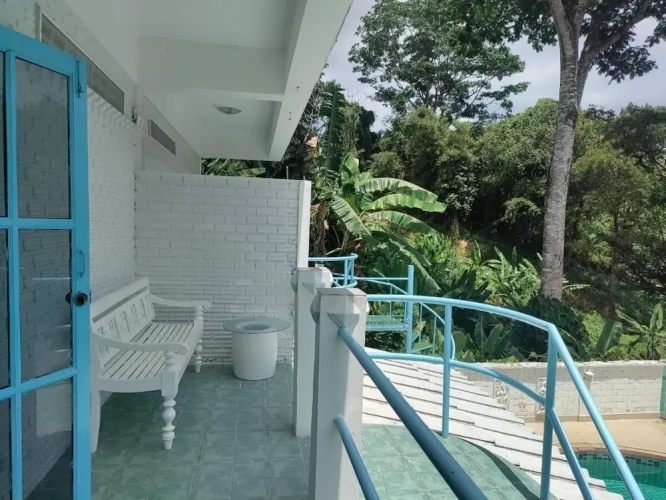 Superior Double Studio with balcony and with mountain view