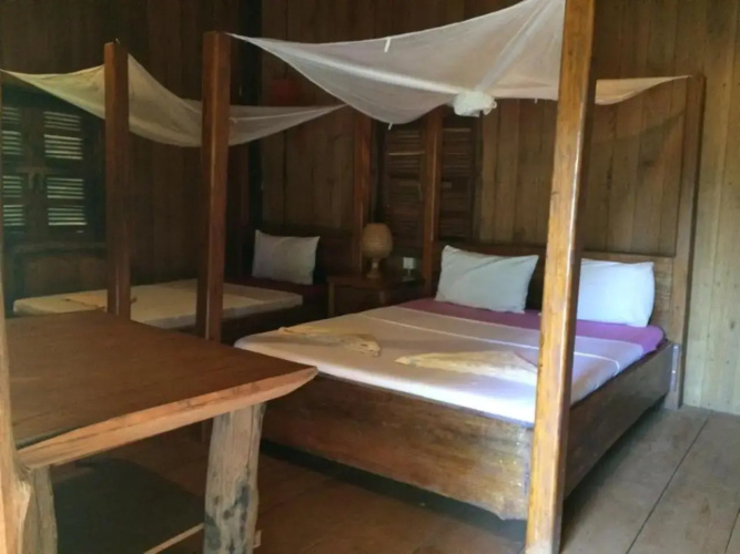 Tree Top Eco-Lodge