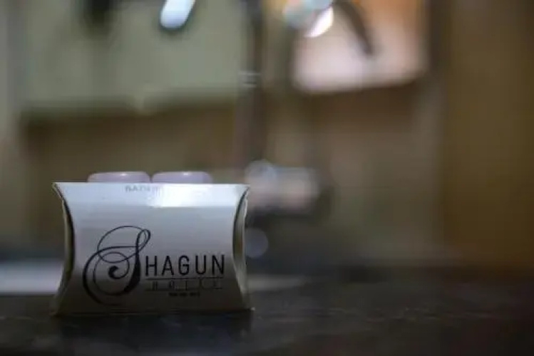Shagun Residency