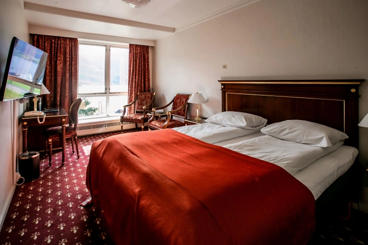 Standard Double room with lake view