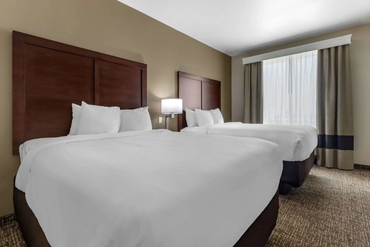 Quadruple Suite