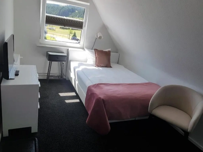 Standard Single room with view